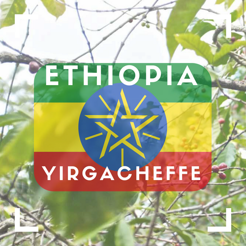 Ethiopia - Yirgacheffe